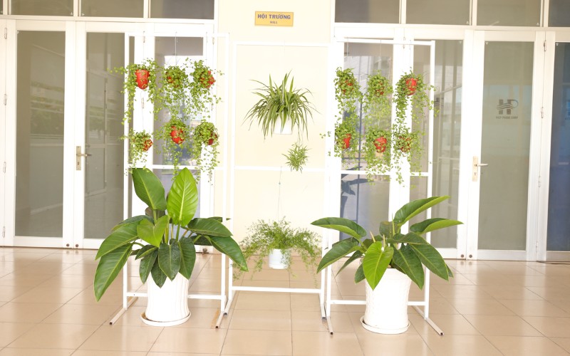 Phong Trào Thi Đua Xây Dựng Hiệp Phước Xanh Lần 1/2020 | Hiep Phuoc 工業団地株式会社