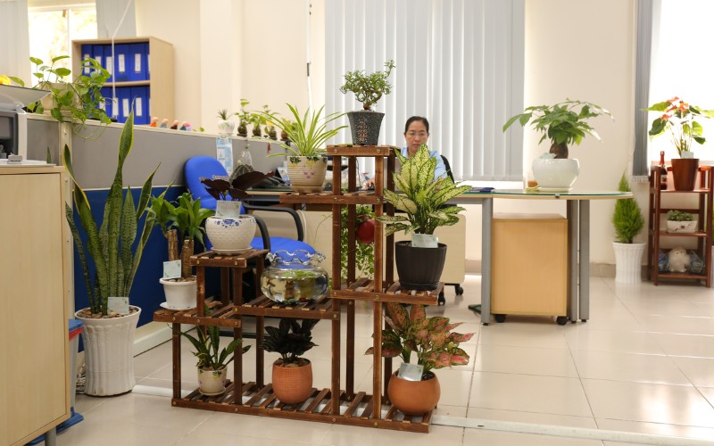 Phong Trào Thi Đua Xây Dựng Hiệp Phước Xanh Lần 1/2020 | Hiep Phuoc 工業団地株式会社